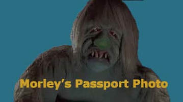 Morley's Passport Photo
